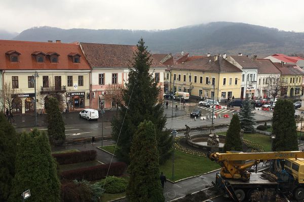 Megjött a város karácsonyfája!