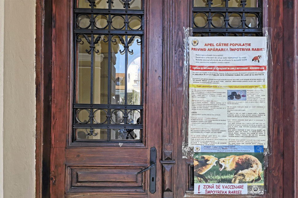 Hosszú hétvége a városházán