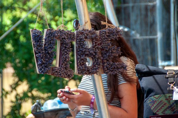 Kétnapos élőműsorral jelentkezik a VIBE Fesztivál