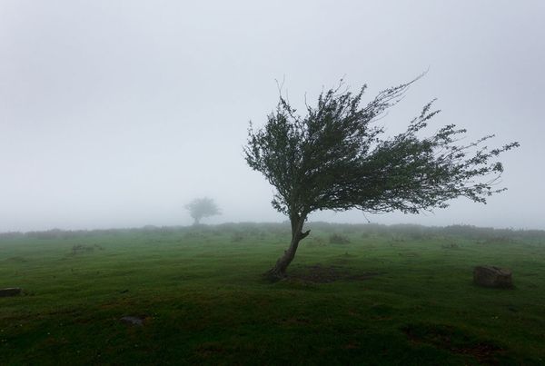 Sárga riasztás lép érvénybe Hargita megyében