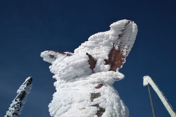 Hová lett a turul?