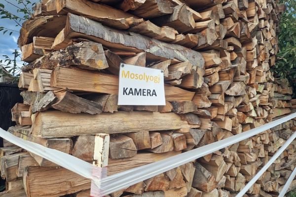 Fotósarokkal várják a fatolvajokat