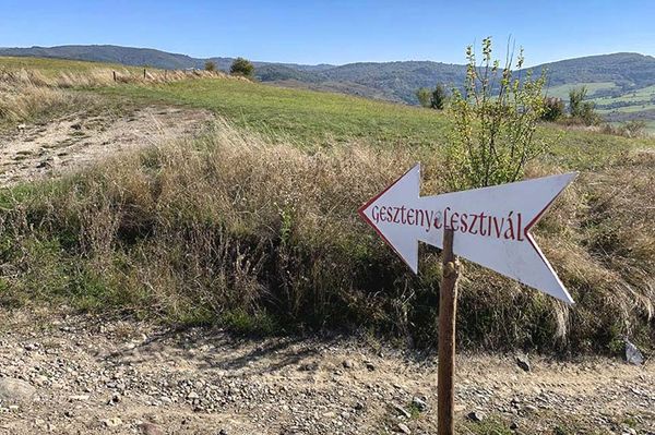 A gesztenyét ünneplik Homoródkarácsonyfalván