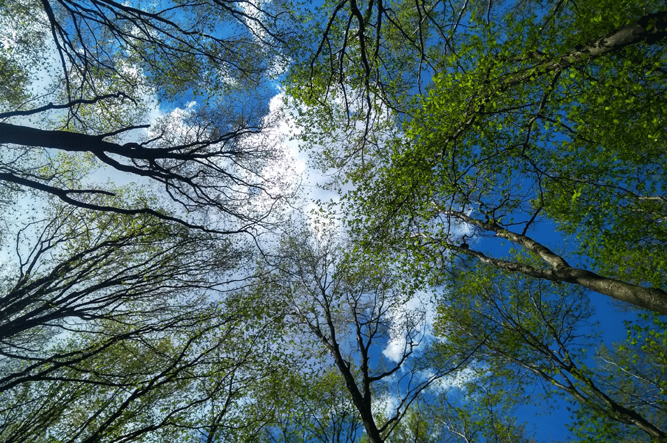 Környezettudatosan vetélkedhetnek a diákok