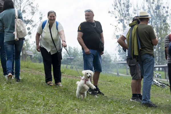 Újra rendesen meg lett majálisoztatva Udvarhely