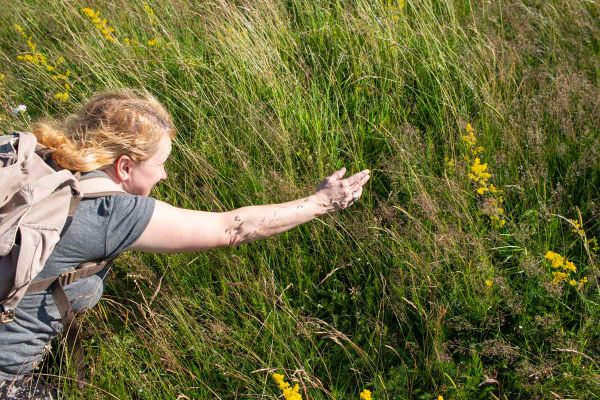 Gyökértelen gyerekkor, trauma és saját föld