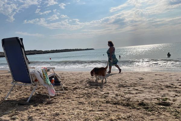 Ha összetévesztjük a kiábrándulást az igazsággal