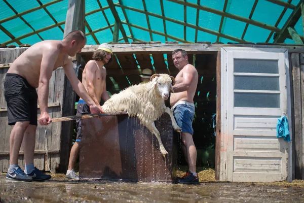 Így lett az avasi hagyományból giccs és sztátuszszimbólum