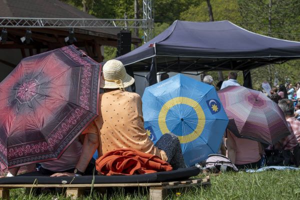 Ingyen tokány, ingyen bicikli?