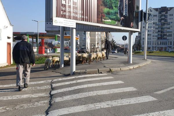 Lassíts be húsvétra, de tudd, hol a fogorvos!