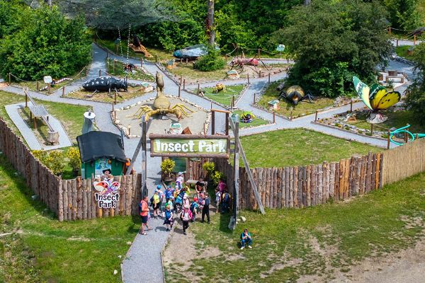 Országos döntőben az Insect Park – most minden szavazat számít!