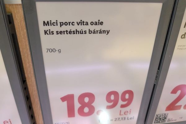 Augusztus van, szabadságol a Lidl fordítója