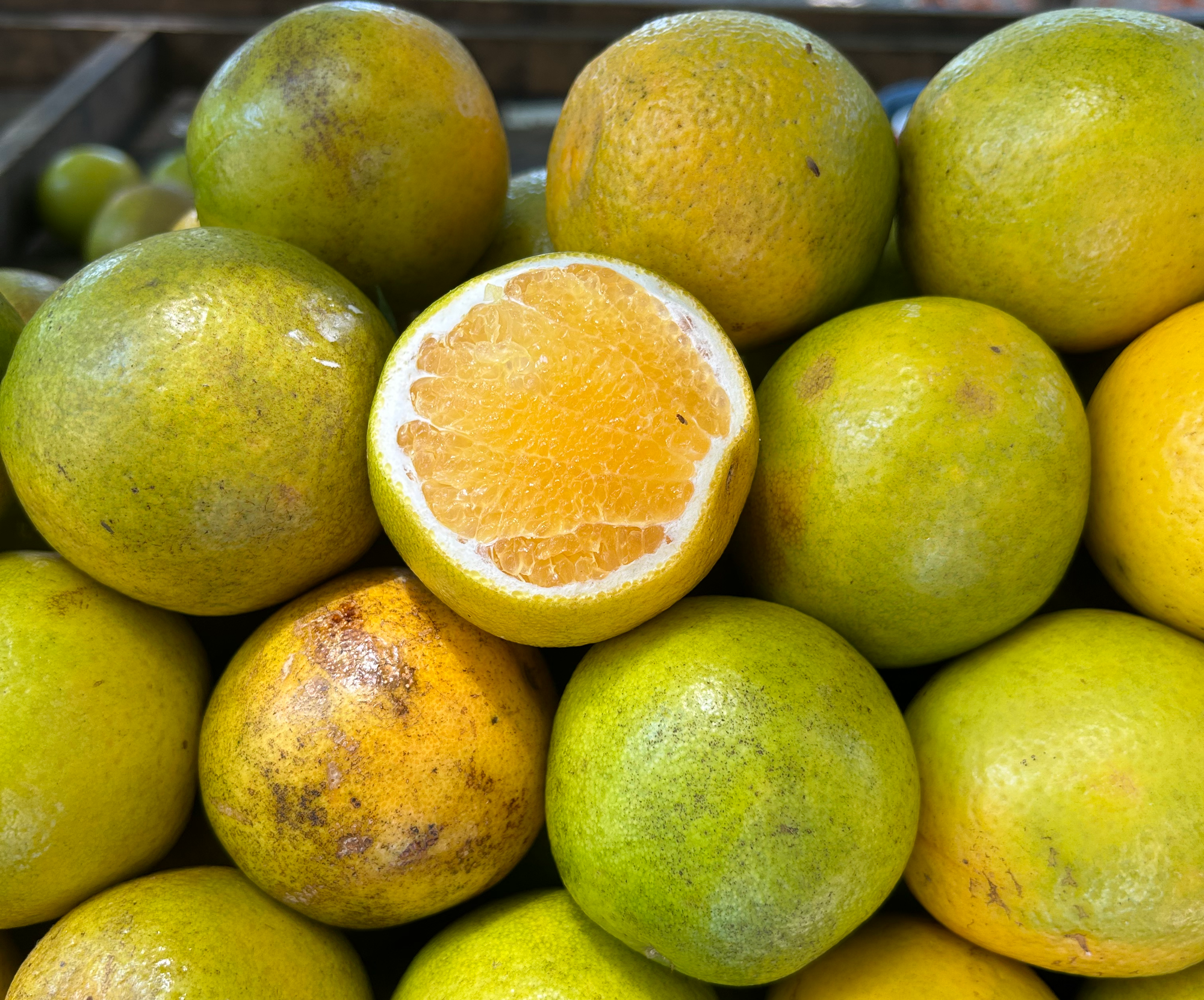 A Food Journey in Rio De Janeiro