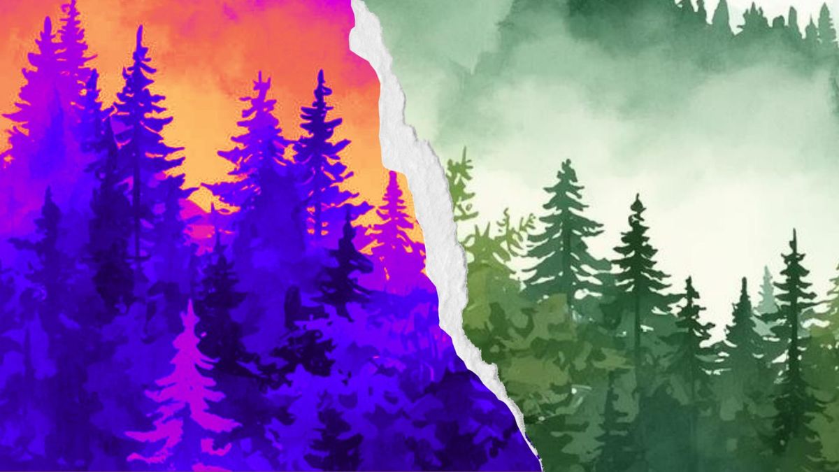 On Writing the Altered Landscape