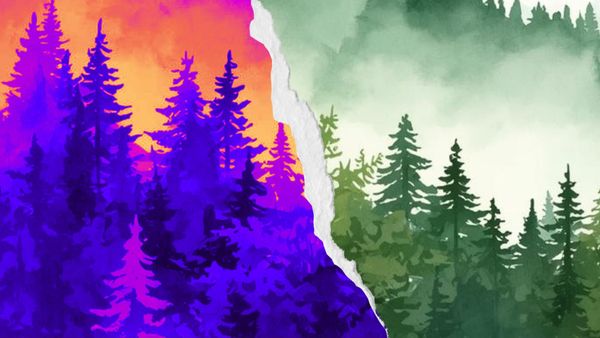 On Writing the Altered Landscape