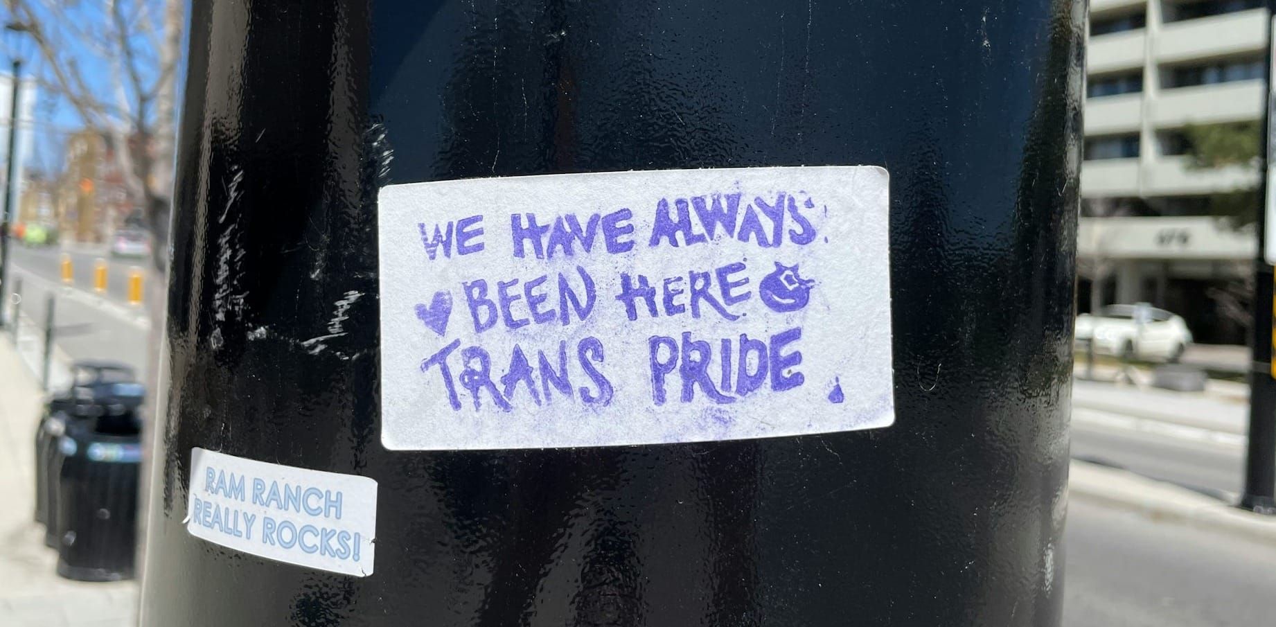 A look at Trans Culture in Australia: from visibility to 2026 Workplace Rights