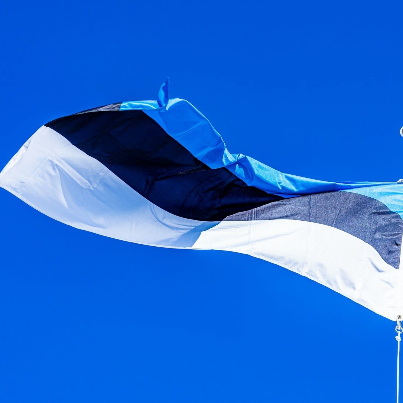 A technorealistic approach to AI literacy in Estonian schools