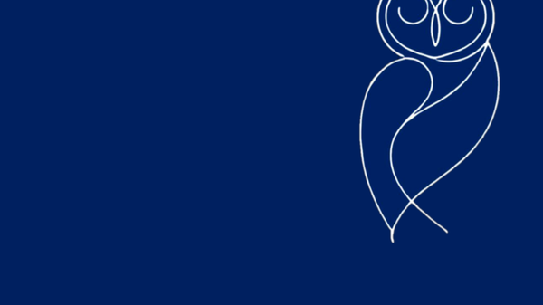 E-GOV OWL: How did Central and Eastern European governments perform in their digital transformation efforts this year?