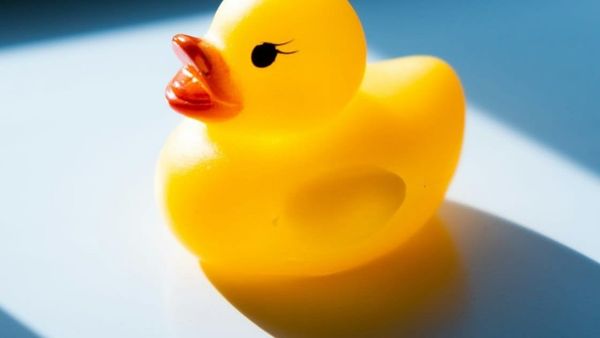 Is the DMA a chicken or a duck? Why the DMA predestinates European companies and consumers to lose