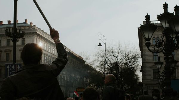 The democracy paradox: why no political ads may empower illiberals