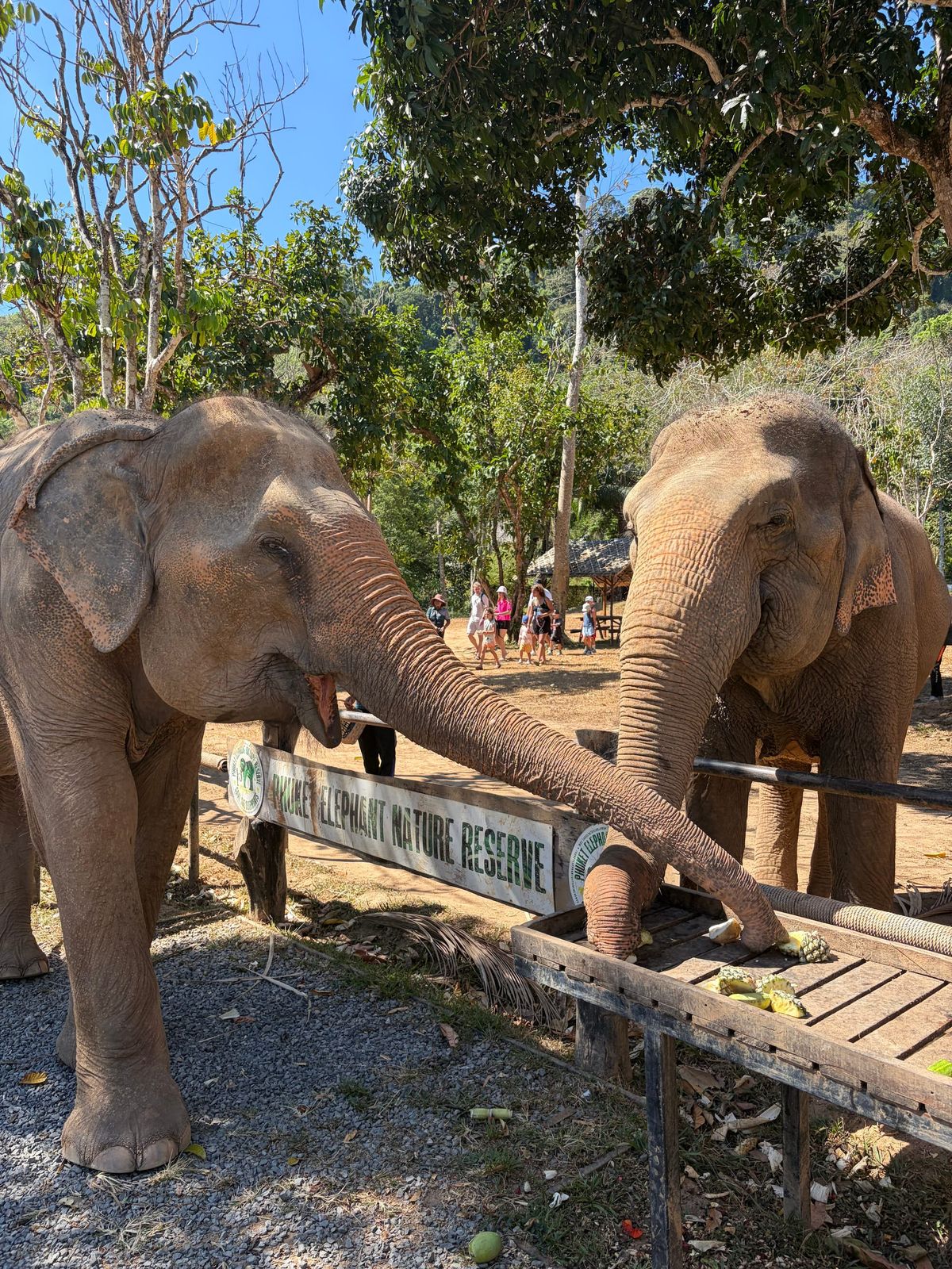 What is the most important number to know when planning for retirement?