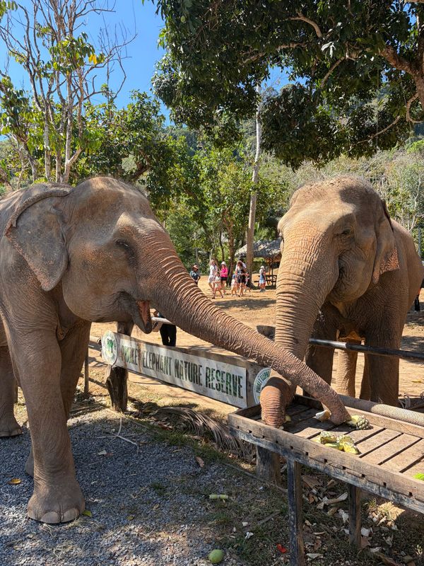 What is the most important number to know when planning for retirement?