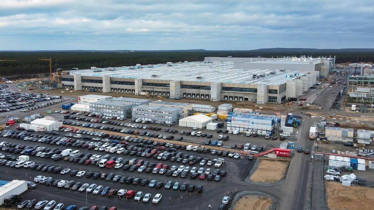 Aktivisten vs. Musk: Waldkrieg eskaliert!