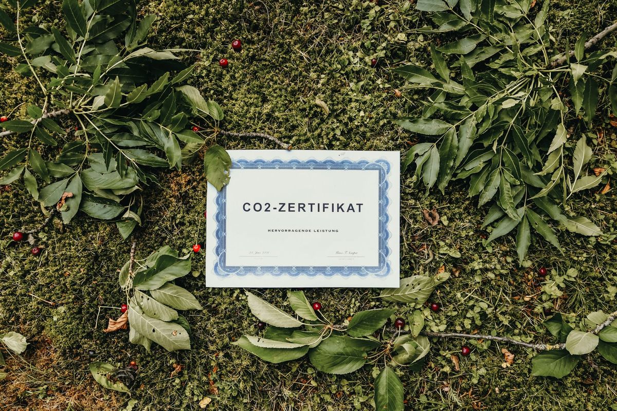 Vertuschung und Verzögerung: Der Skandal um gefälschte CO₂-Zertifikate!