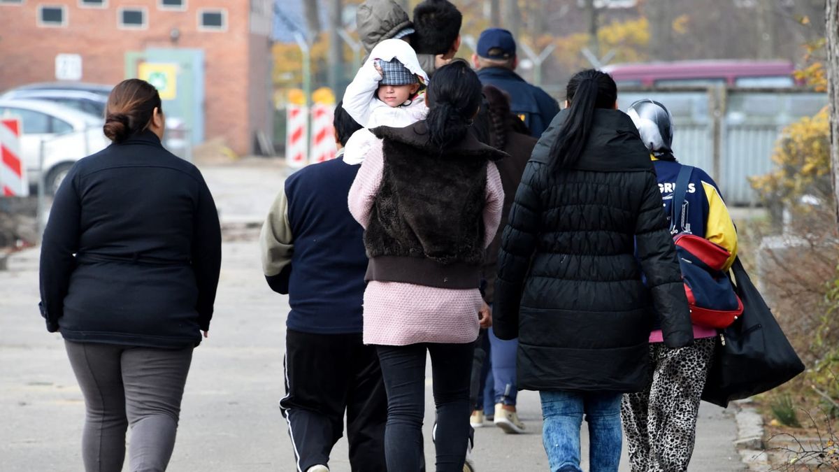 Nur 0,5 Prozent der Syrer in Deutschland asylberechtigt – Was die Zahlen wirklich bedeuten