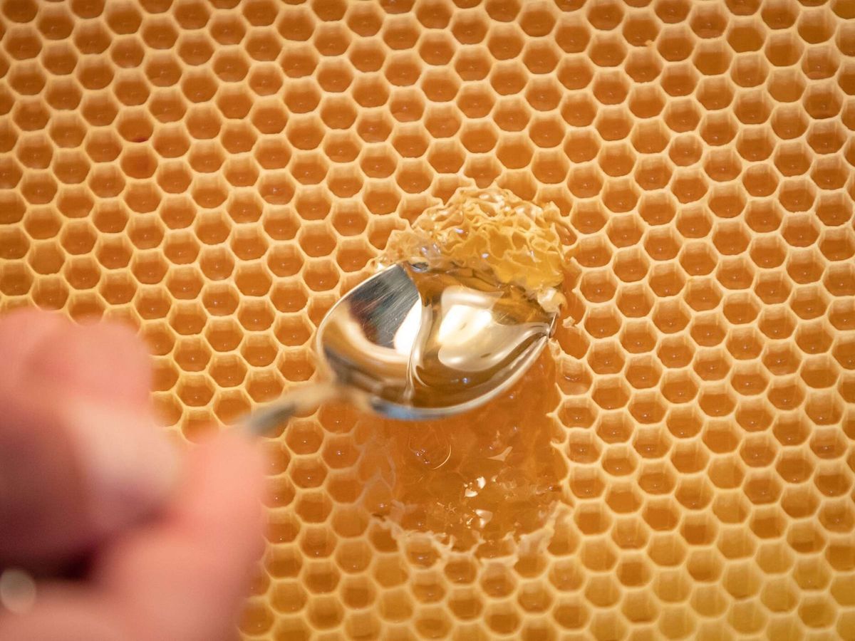 „Roh-Gang“ = Social-Media-Sekte?