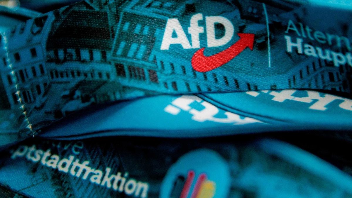 AfD könnte stärkste Kraft werden – und viele stört das längst nicht mehr