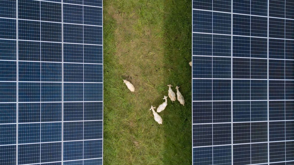 Wie ausgerechnet die Sonne das Netz an den Rand bringt