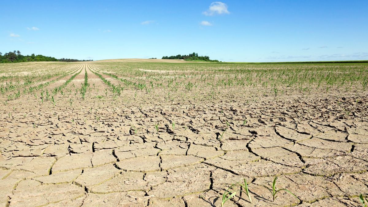 Klimawandel auf der Kippe: Droht Europa die neue Eiszeit?