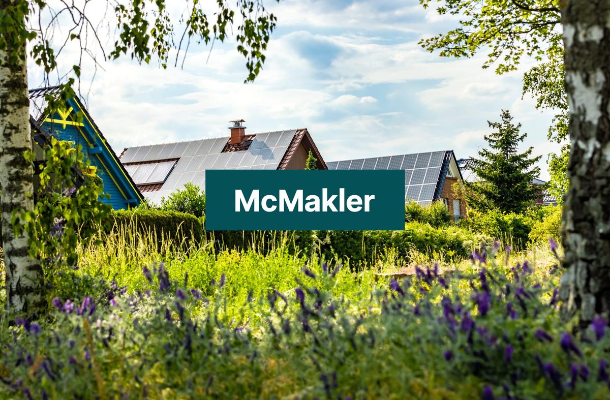 McMakler am Abgrund: Wie interne Machtkämpfe ein Proptech in die Knie zwingen