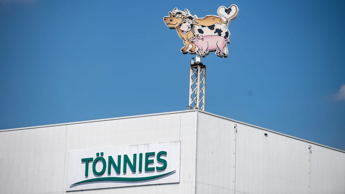 Wurstkönig will noch mehr – droht jetzt ein Monopol auf dem Fleischmarkt?