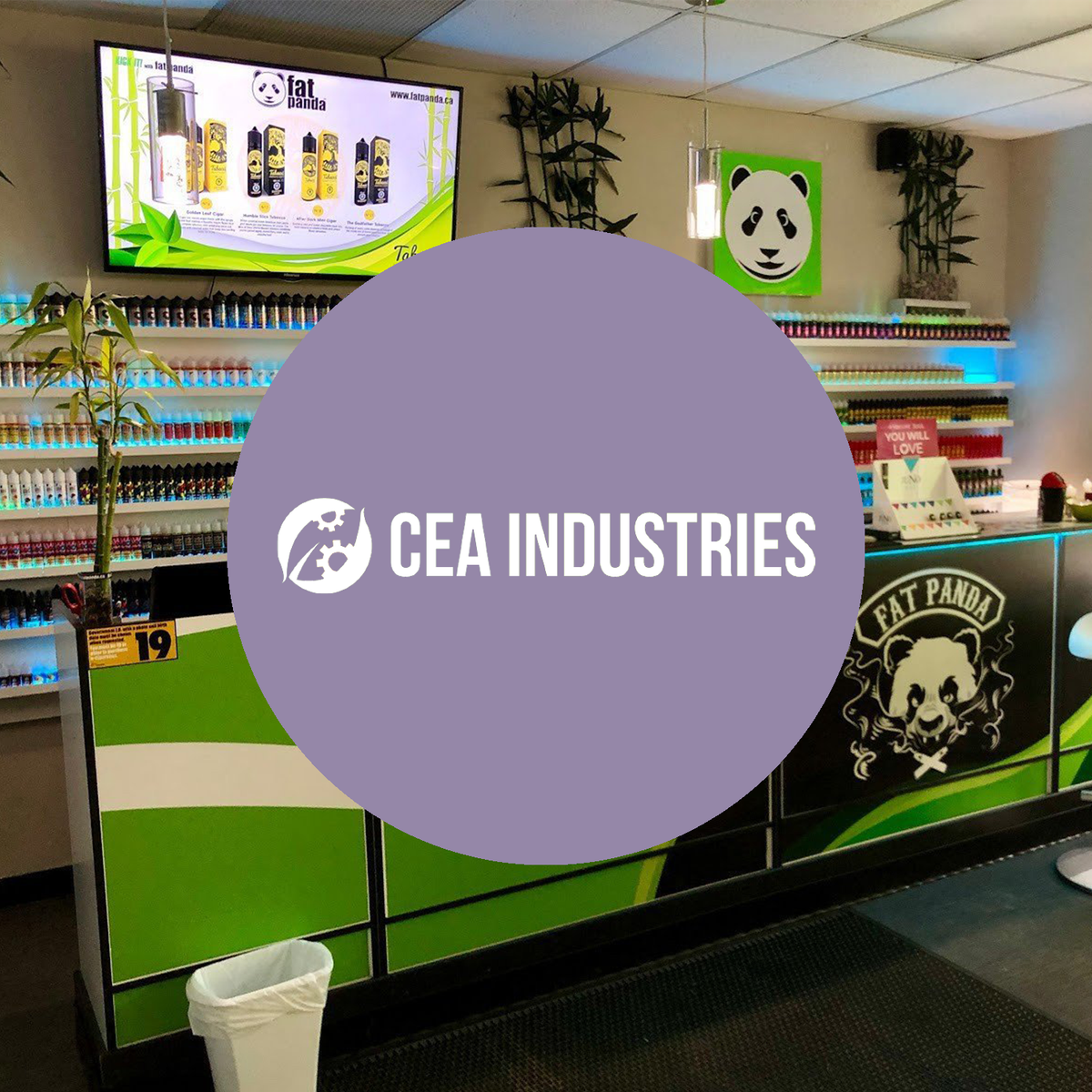 Kleinfirma schießt nach BNB-Wette um 833 % nach oben