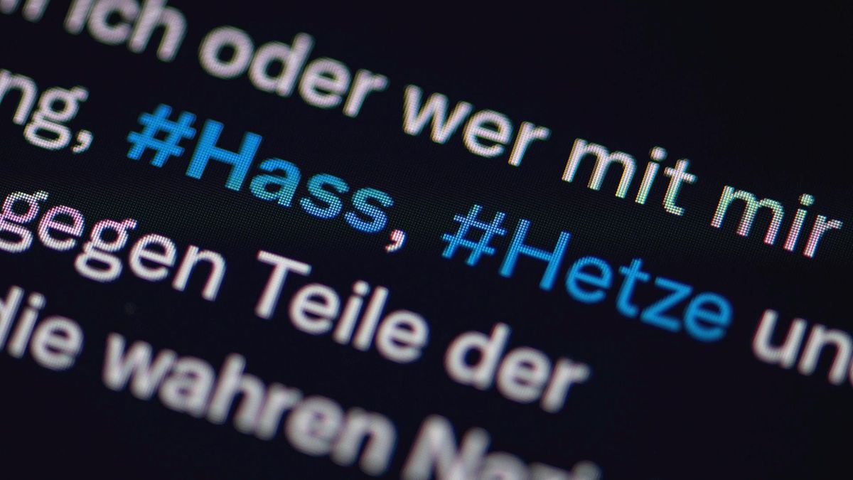 Politikerbeleidigung im Netz: BKA-Meldestelle verzeichnet Rekordzahlen