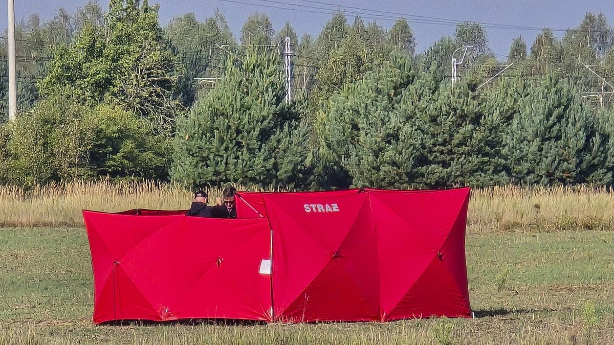 Russische Drohnen über Polen: Nato prüft gezielte Provokation