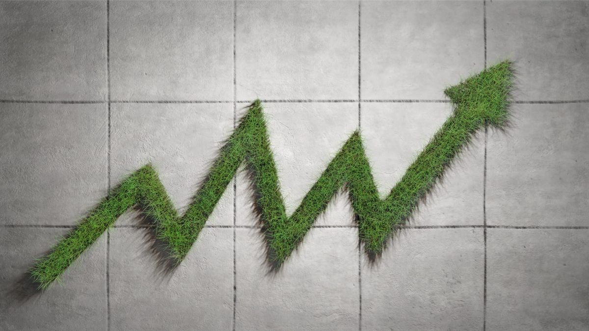 Aktive ETFs: Wenn aus Indexfonds Spekulation wird
