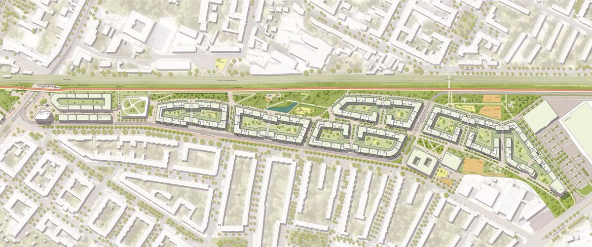 Kreuzkröte stoppt Stadtviertel – Wie Berlin an der eigenen Bürokratie scheitert