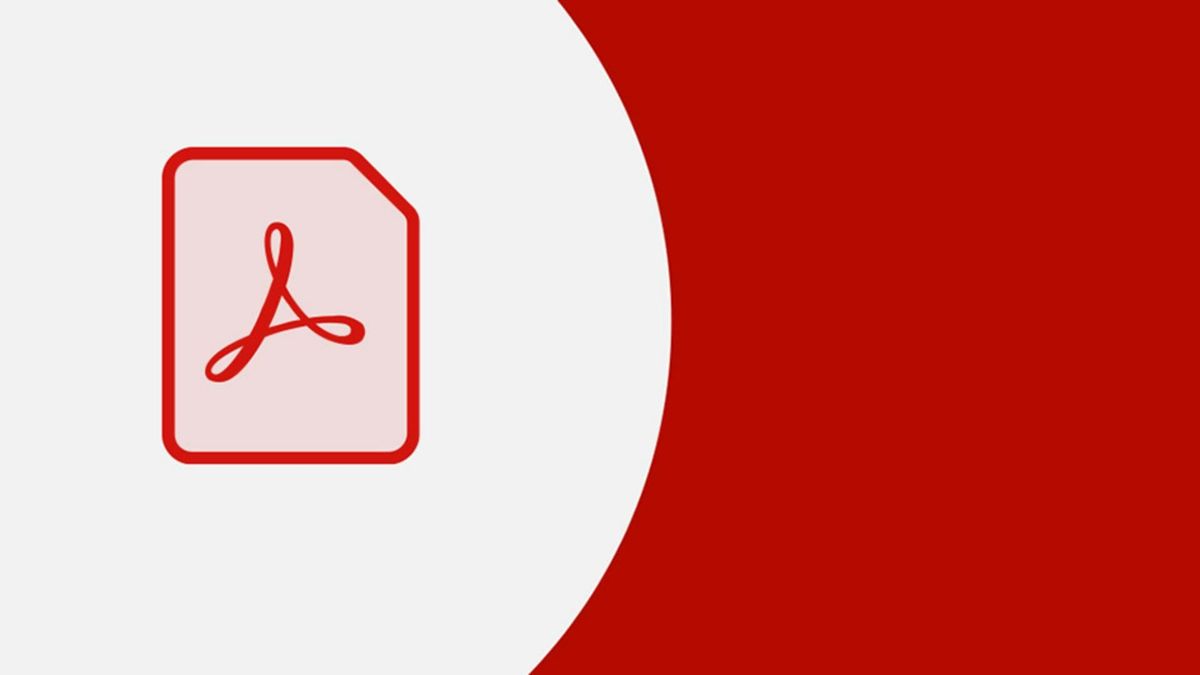 Adobe setzt auf KI – Umsatzrekord und starke Prognose für 2026