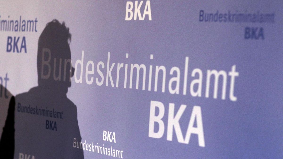 BKA-Zahlen entfachen Debatte neu: Welche Muster die Kriminalstatistik zu Zuwanderern wirklich zeigt