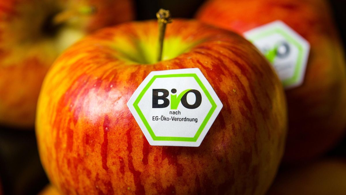 Bio boomt an der Kasse, nicht auf dem Acker