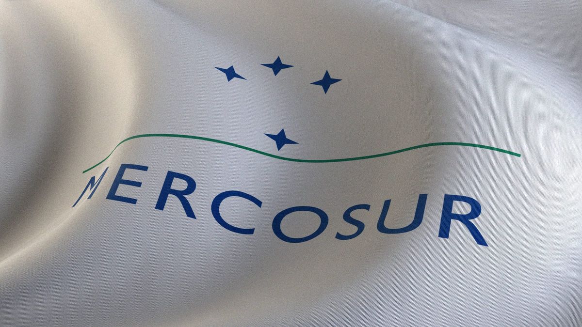 Der 50-Milliarden-Verrat: Brüssel opfert Frankreichs Bauern für deutschen Wohlstand