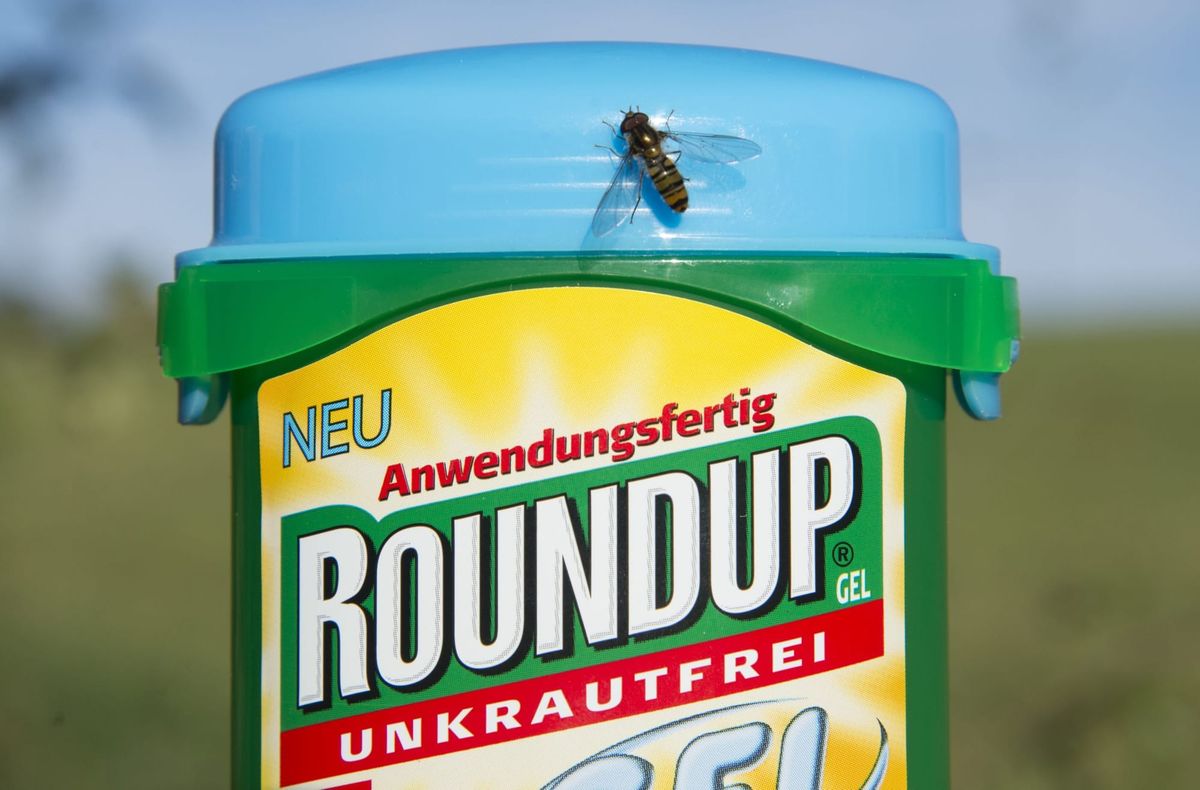 Endspiel in den USA: Bayer holt zum vernichtenden Schlag aus