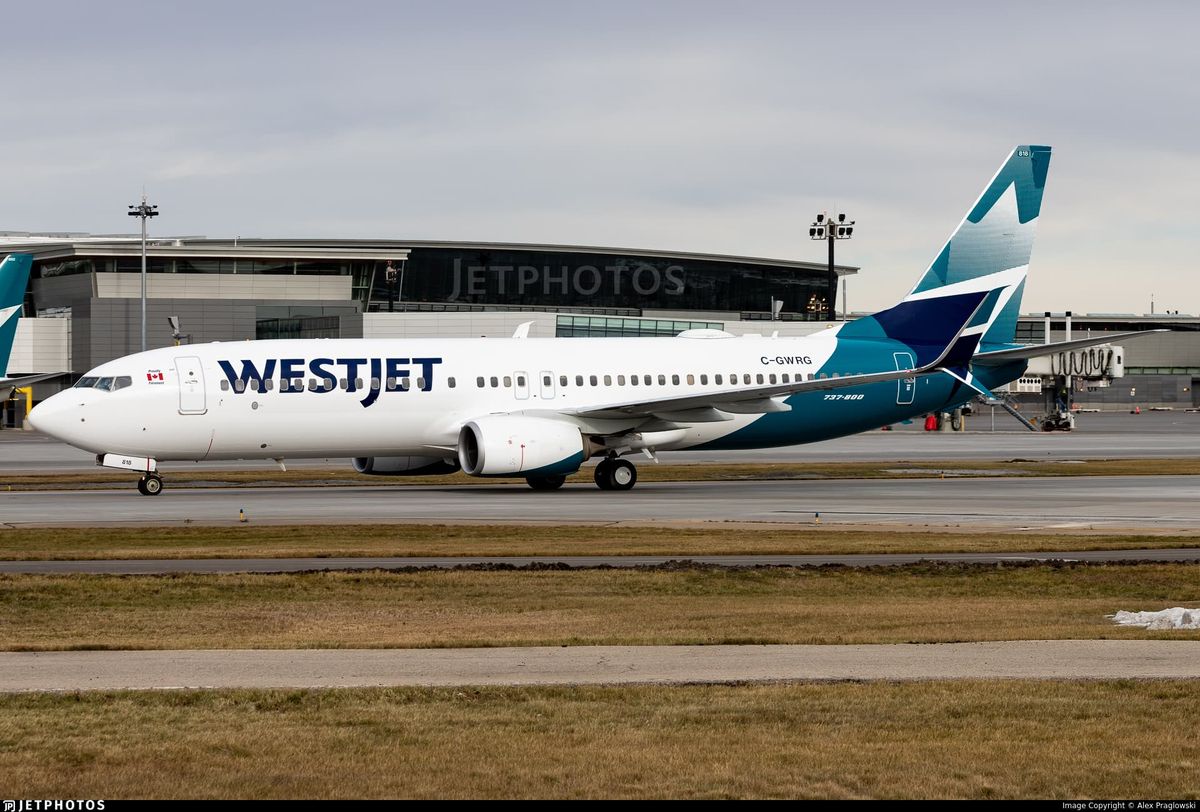 Sardinenbüchsen-Horror: Airline kapituliert nach viralem Shitstorm vor den eigenen Passagieren