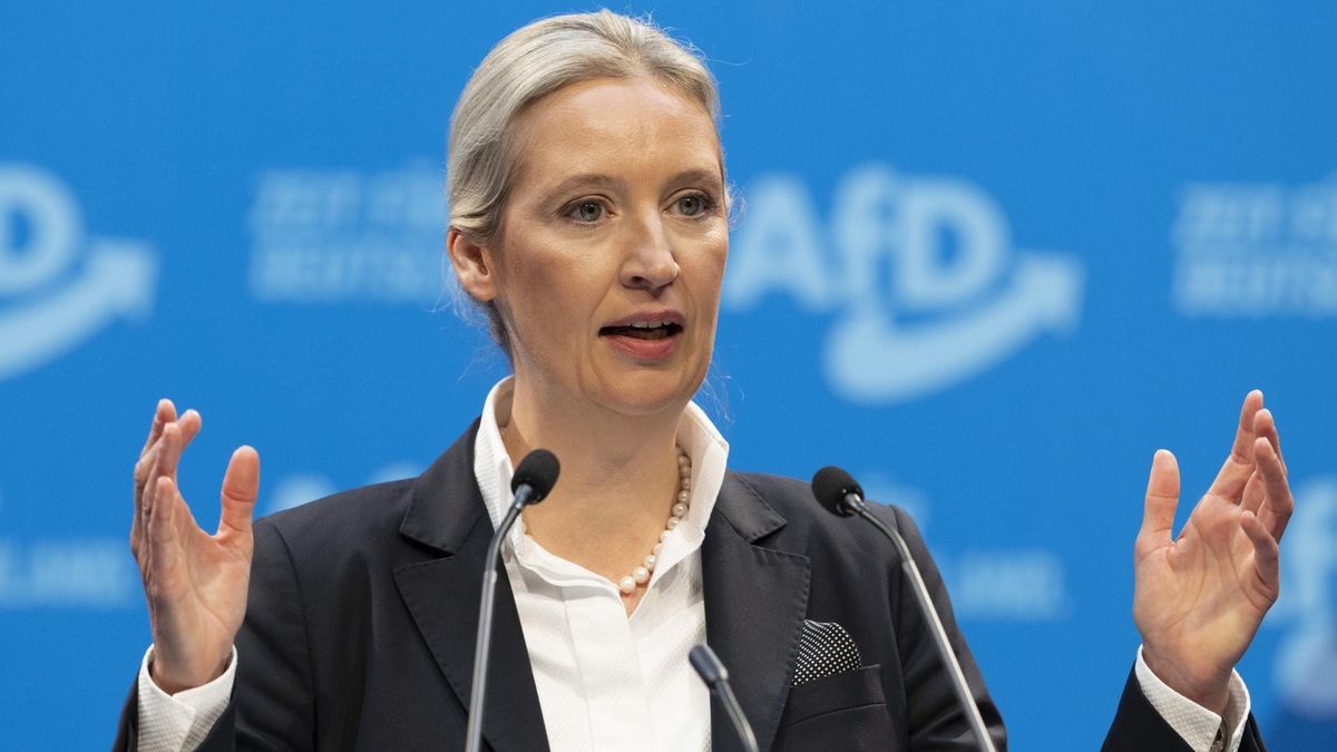 Weidels Absturz entkoppelt die AfD von ihrer Führung