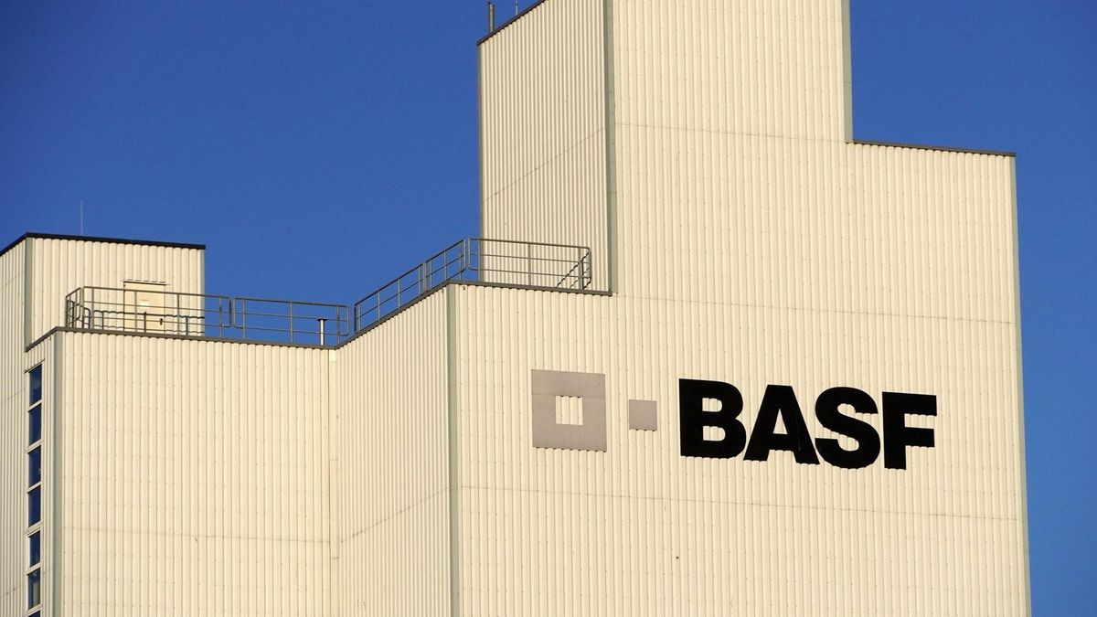 Achtung BASF-Aktionäre: Dieser Politik-Hammer ändert jetzt alles für die Branche