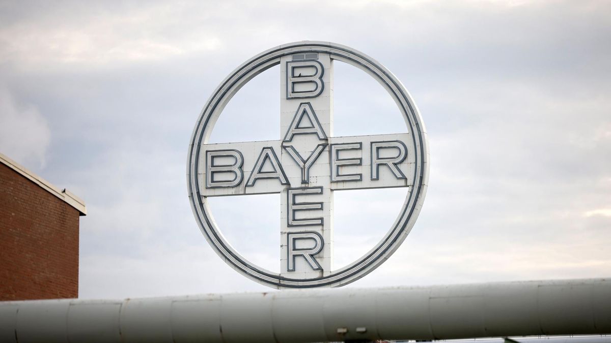 Bayer am Abgrund: Kann die Judith Hartmann den 30-Milliarden-Dollar-Sturz noch stoppen?
