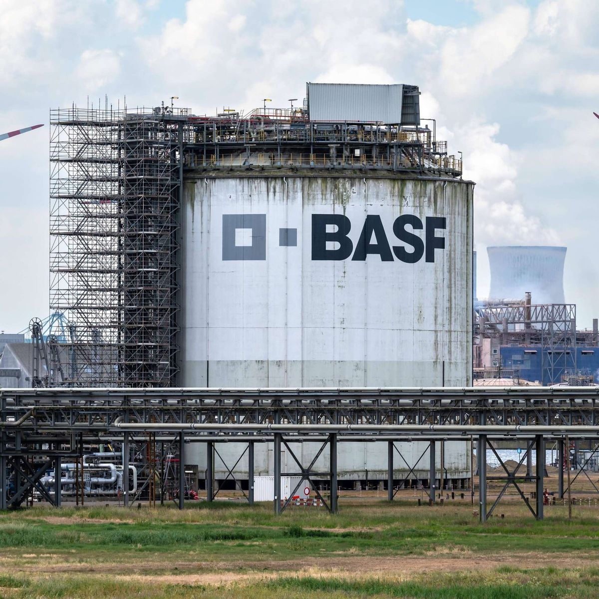 BASF sichert globale Aromastoffversorgung: Neue Megaanlagen für Menthol, Linalool und Citral